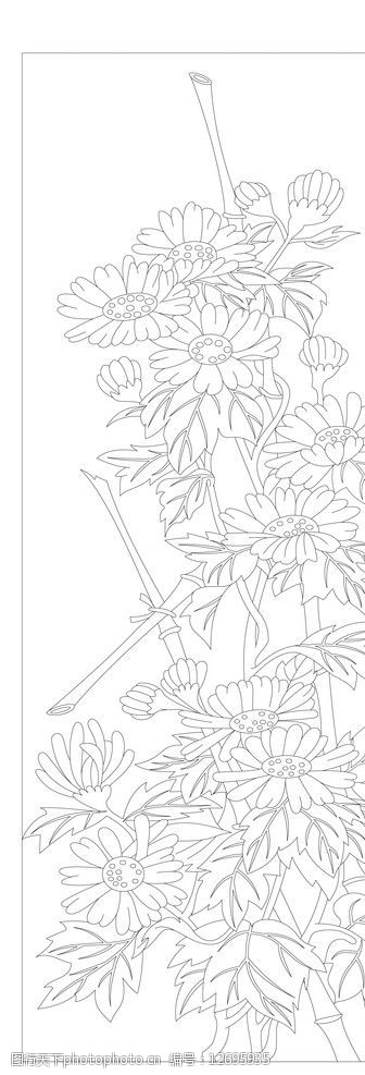 梅兰竹菊白描线条菊图片