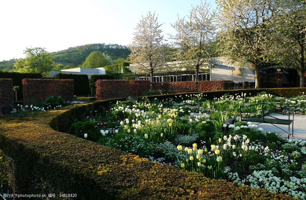 小镇的花园图片