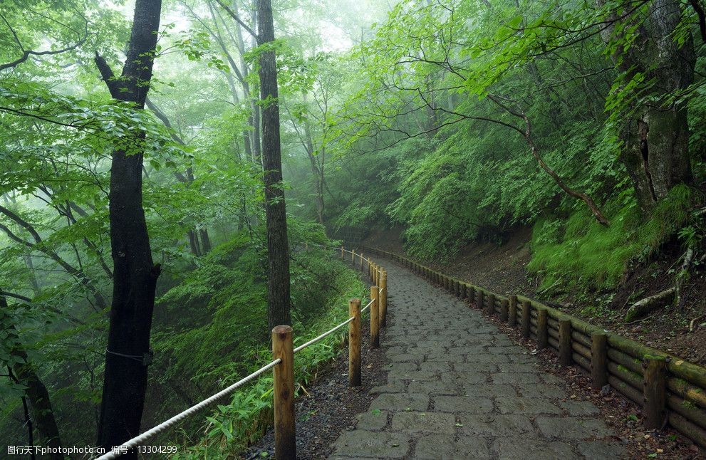 关键词:雾下森林中的道路 山中道路 木扶栏 绿树林 雾气 道路 国内