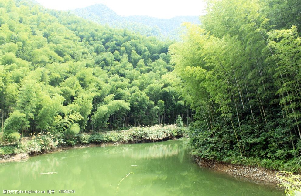 竹林山水风景图片大全图片