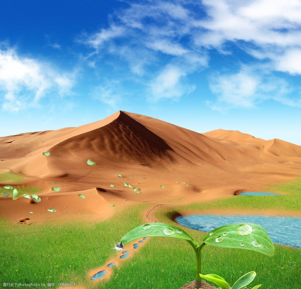 沙漠绿洲 效果图片