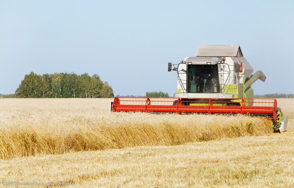 丰收场景高清图片图片-图行天下图库