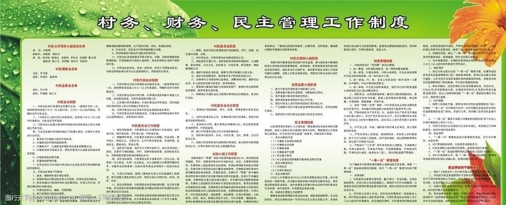 村政务财务民主管理工作制度图片